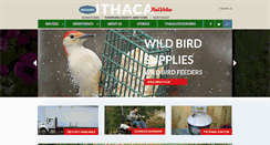 Desktop Screenshot of ithacaagway.com